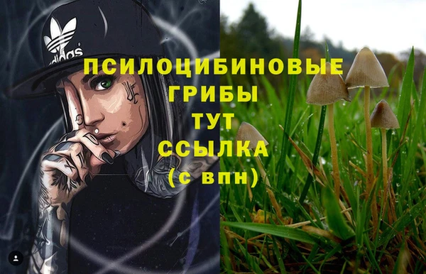 каннабис Богородск